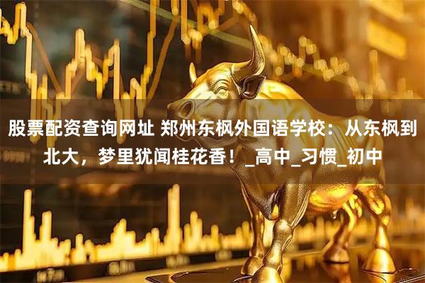 股票配资查询网址 郑州东枫外国语学校：从东枫到北大，梦里犹闻桂花香！_高中_习惯_初中