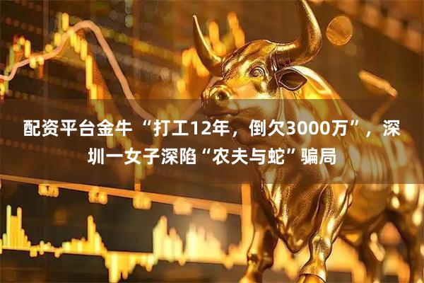 配资平台金牛 “打工12年，倒欠3000万”，深圳一女子深陷“农夫与蛇”骗局